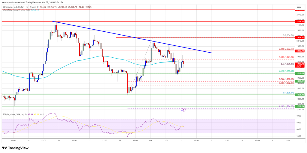 Ethereum Price Support Intact, but Market Signals Waning Bullish Momentum