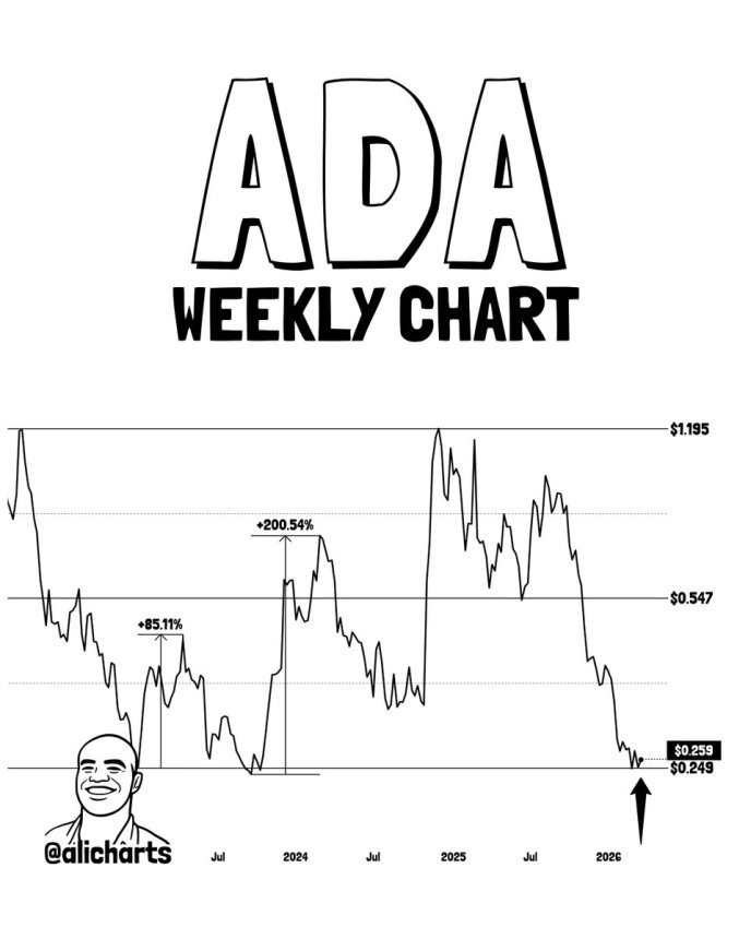 Cardano Price At Multi-Year Support That Previously Led To 200% Rally – ADA Recovery Ahead?