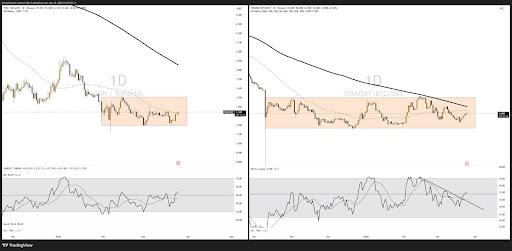 Toncoin Faces Crucial At The $1 Range, Will It Hold Or Break?