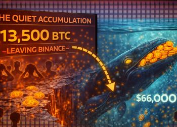 The Quiet Accumulation: 13,500 Bitcoin Leaving Binance Signals A Strategic Whale Pivot at $66,000