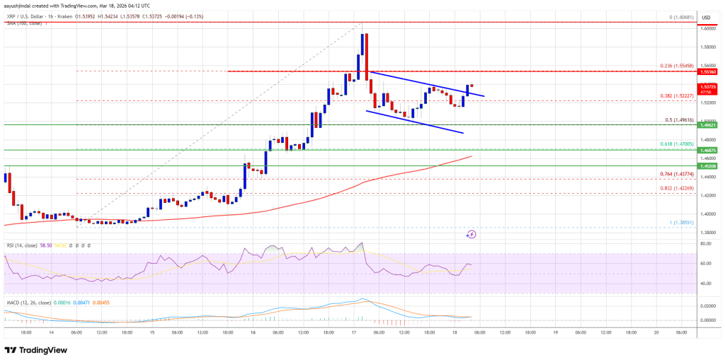 XRP Price Bullish Momentum Expands — Market Eyes Next Surge