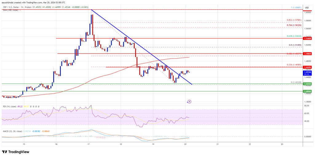 XRP Price Drifts Lower, All Eyes on Bulls Defending $1.42 Zone