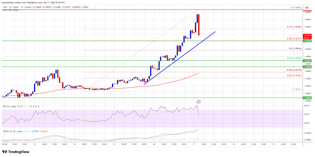 XRP Price Climbs to $1.60 — Downside Seen Limited by Strong Support