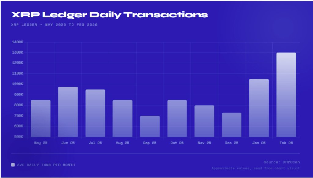 XRP Ledger Transactions Triple In One Year – What’s Going On?
