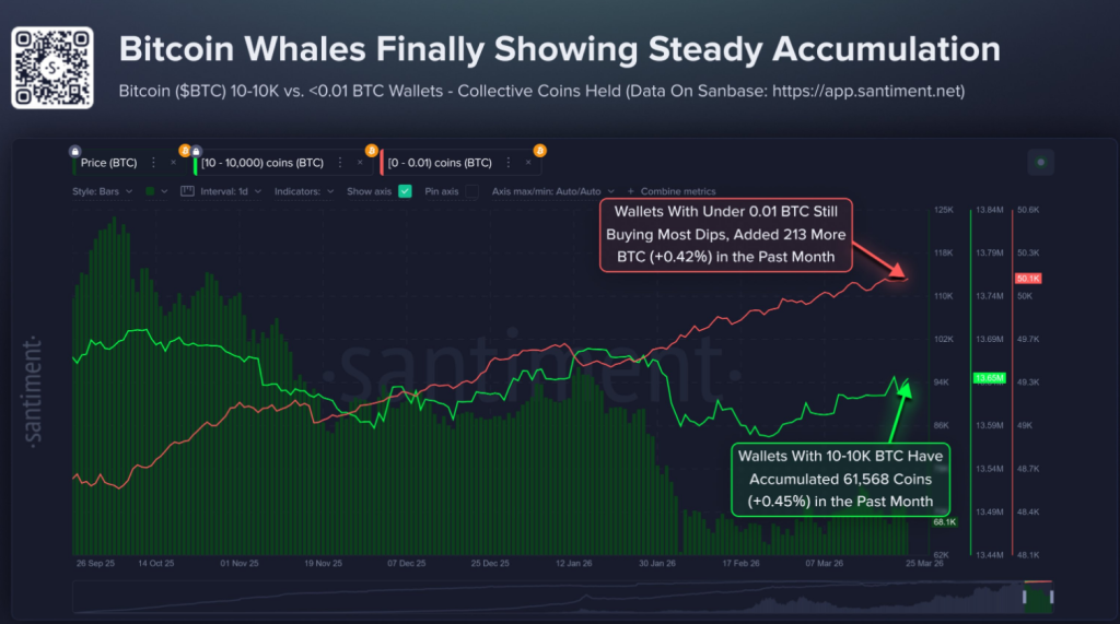 Bitcoin Worry Hits The Flooring As Massive Holders Stack 62,000 Cash Bitcoin Worry Hits The Flooring As Massive Holders Stack 62,000 Cash