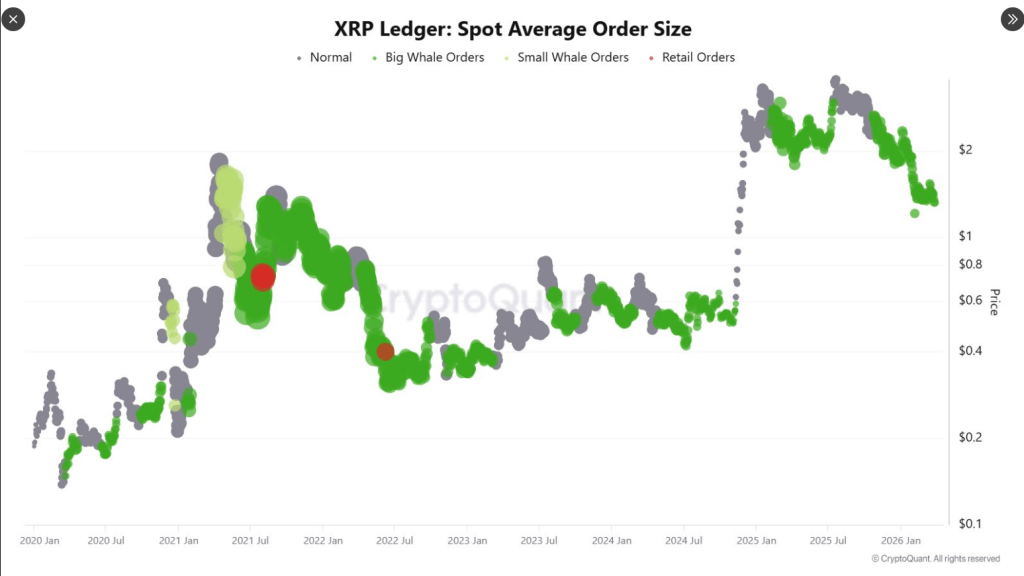 8.25M XRP Exit Long-Term Holders As Whales Buy $1.20–$3