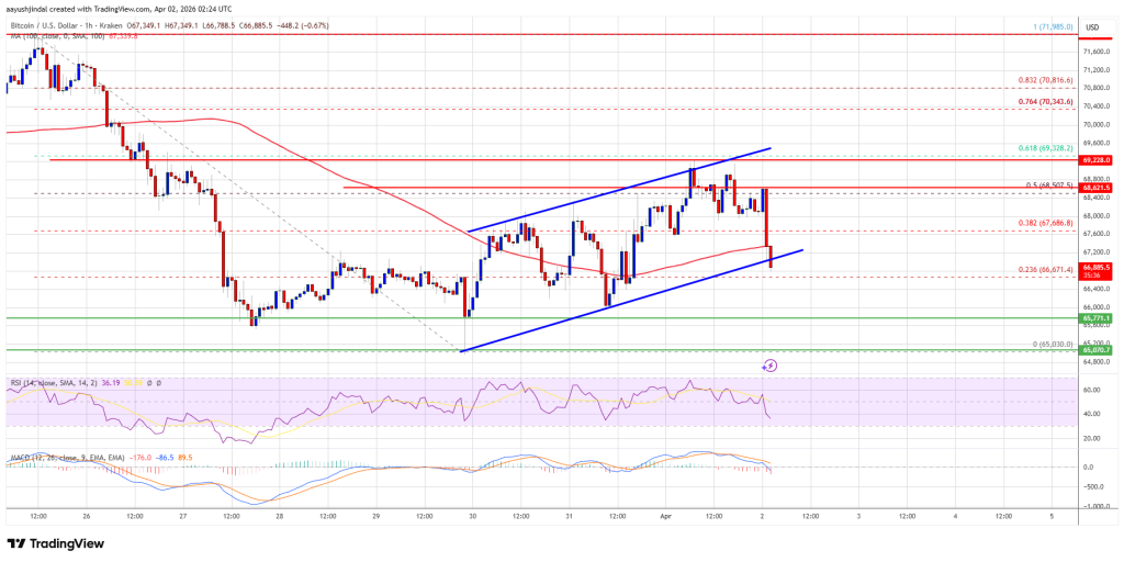 Bitcoin Price Recovery Slips, Sellers Tighten Grip on Market