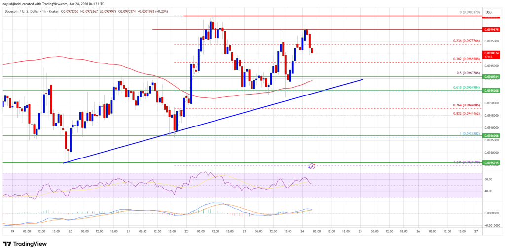 Dogecoin (DOGE) Turns Attractive—Bulls Aim Key Upside Break And Gains