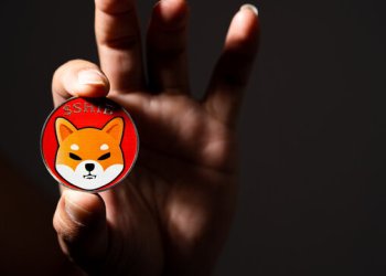 Shiba Inu