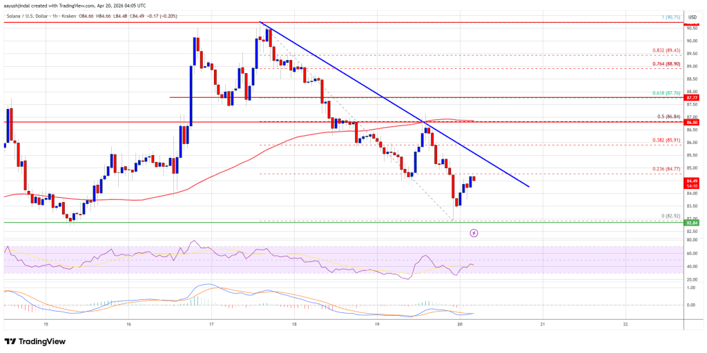 Solana (SOL) Faces Another Rejection, Is A Deeper Correction Ahead?