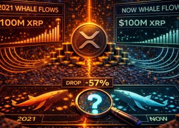 XRP Whale Flows Hit 2021 Levels: Is History Repeating?