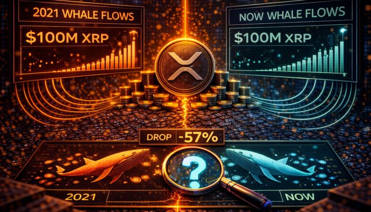 XRP Whale Flows Hit 2021 Levels: Is History Repeating?