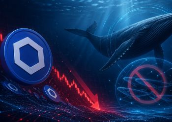 Chainlink Is Getting Cheaper And Whales Are Not Buying The Dip: Discount Or A Trap?