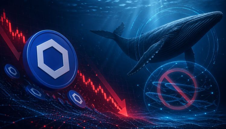 Chainlink Is Getting Cheaper And Whales Are Not Buying The Dip: Discount Or A Trap?