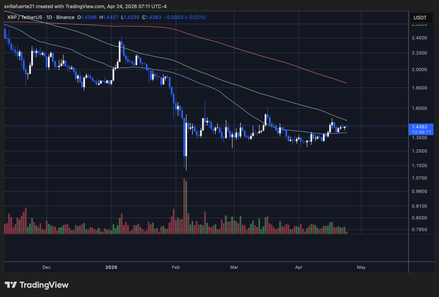 XRP se consolida por encima de $1.40 | Source: XRPUSDT chart on TradingView