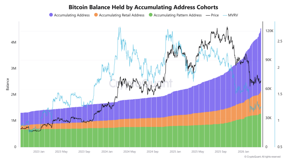 Bitcoin Accumulation Trends