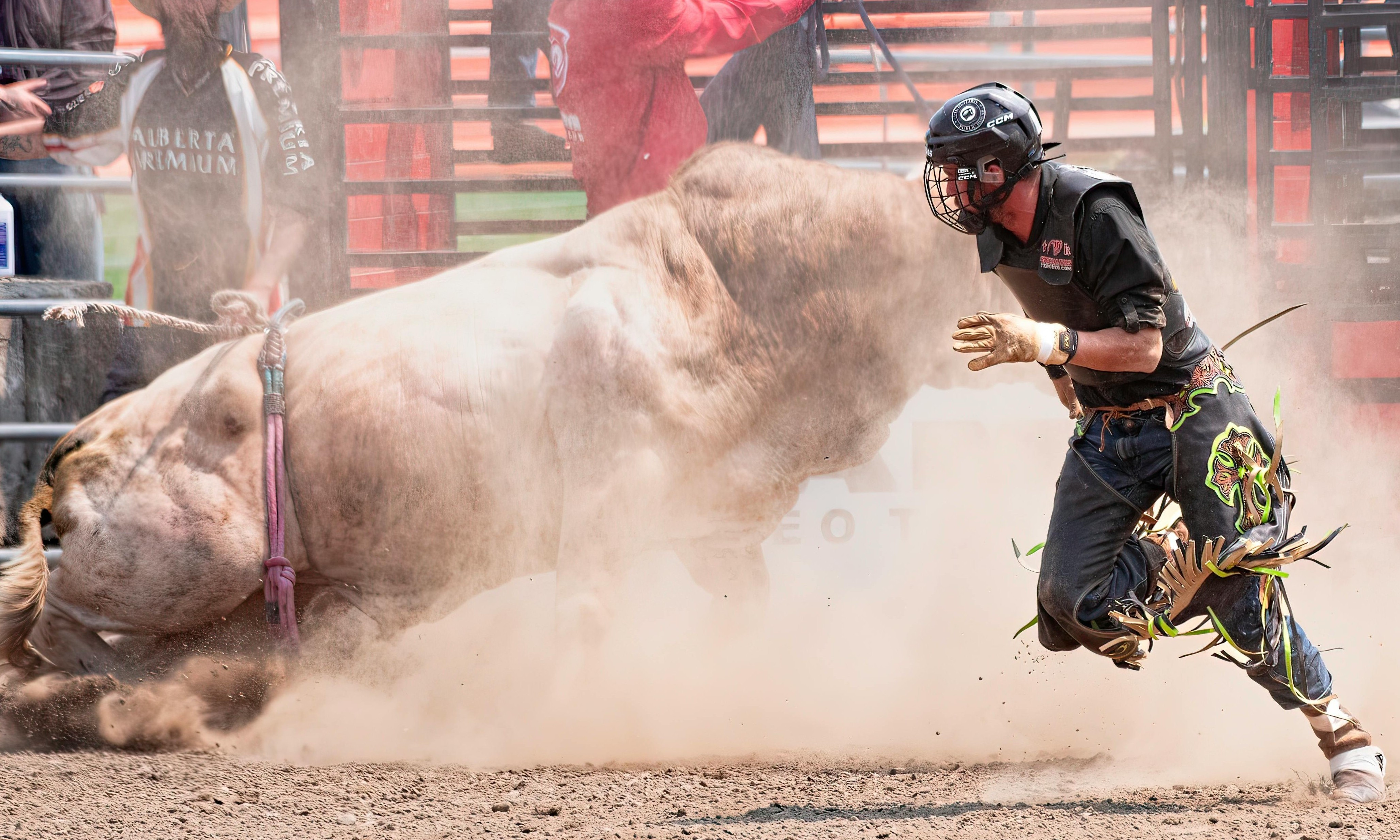 Bitcoin Bull Run Brewing: ATH In Sight By Late 2026: Analyst