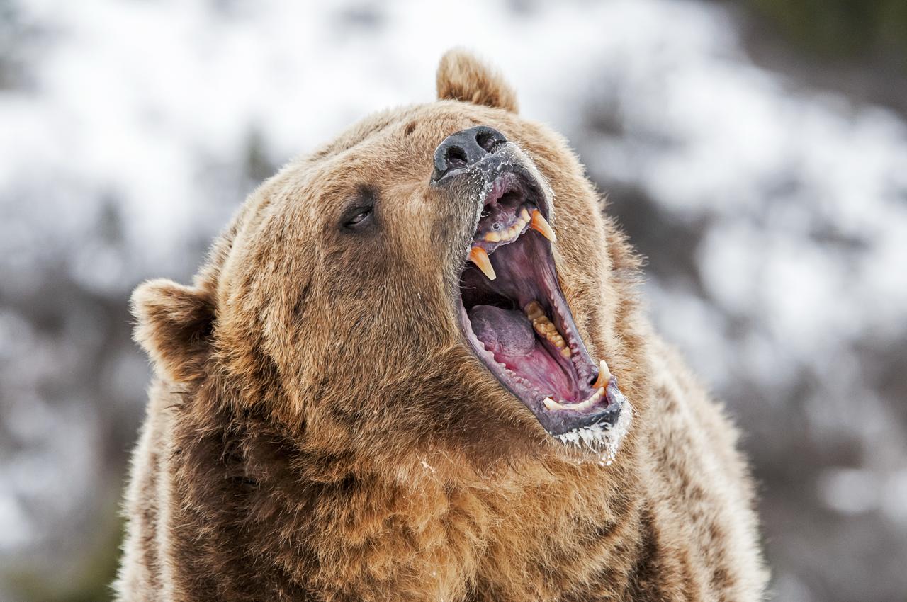 Bitcoin’s Fall To $78K Could Be A Bear Trap — Here’s Why