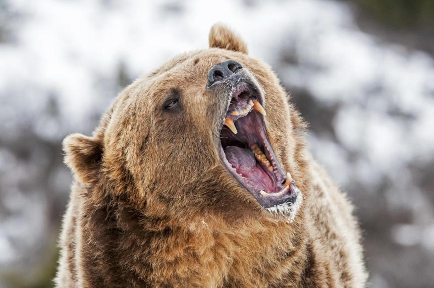 Bitcoin’s Fall To $78K Could Be A Bear Trap — Here’s Why