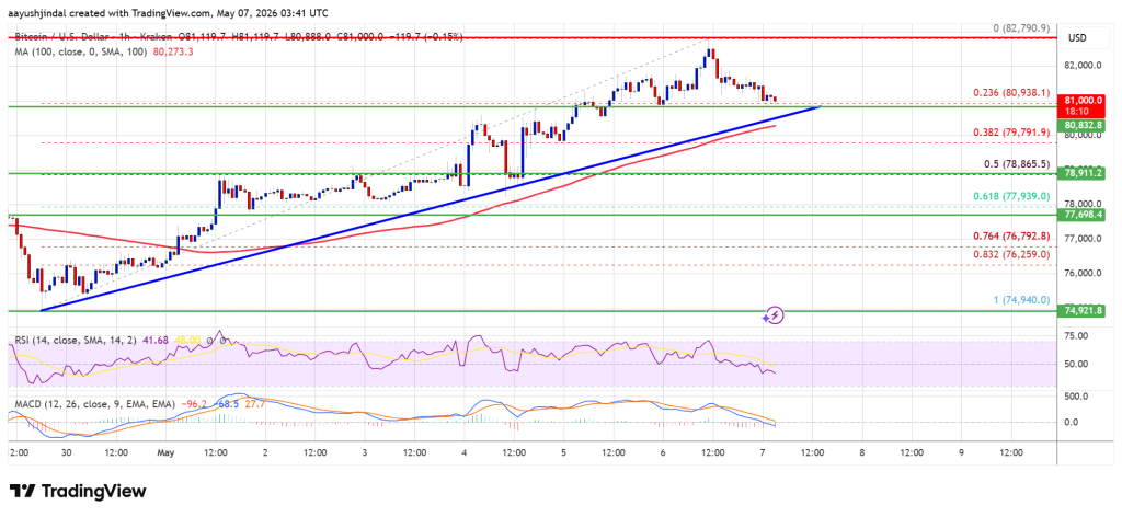 Bitcoin Price Gains Fade After Strong Rally Push Sparks Profit-Taking