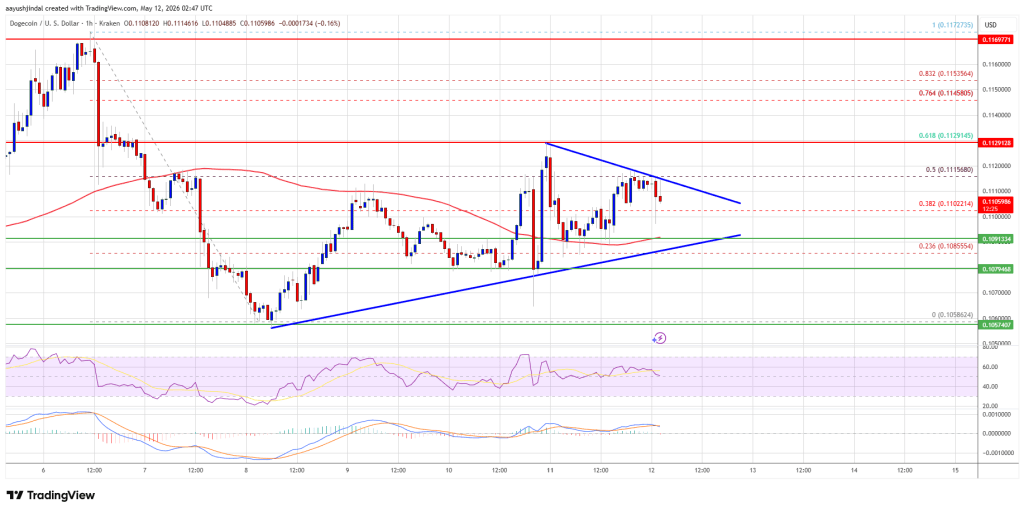 Dogecoin (DOGE) Slows Near $0.1120, Bulls Face Crucial Test