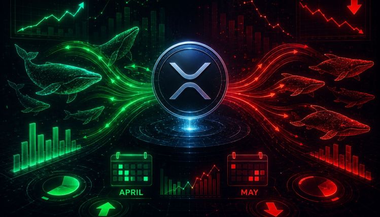 XRP's Big Buyers Returned In April But left In May: Capital Inflows Data Explains The Shift