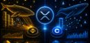 XRP Whale Dominance Returns To Binance While Coinbase Data Tells A Different Story