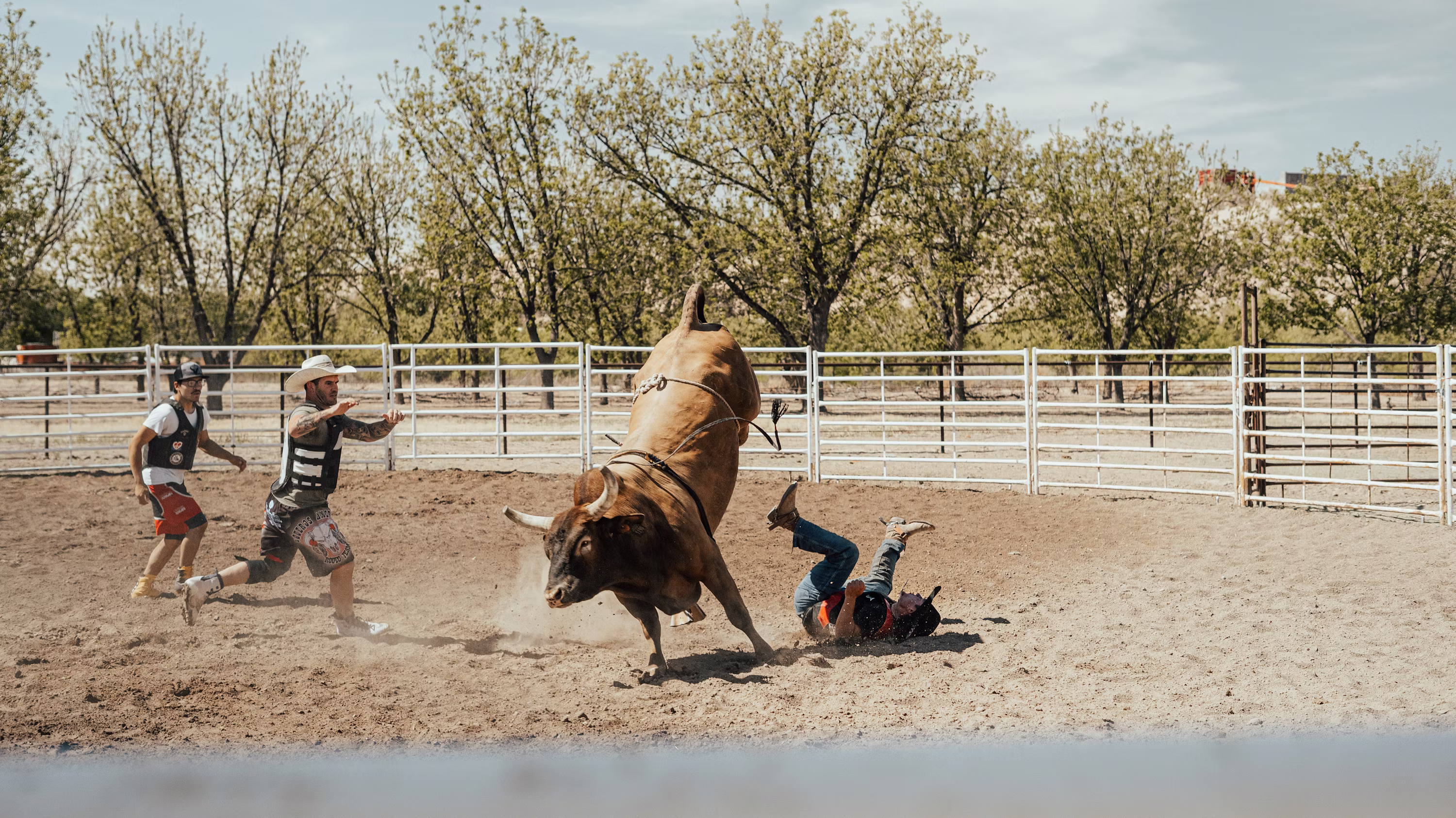Analyst Predicts Biggest Bitcoin Bull Trap Of The Cycle, Calls Out 50% Crash To $42,000