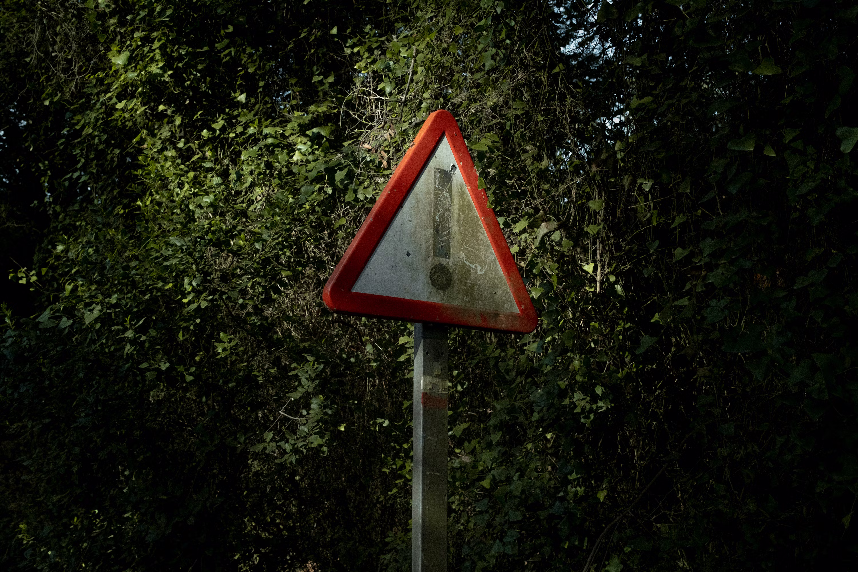 XRP Holders Put On Alert As David Schwartz Flags Dangerous New Scam