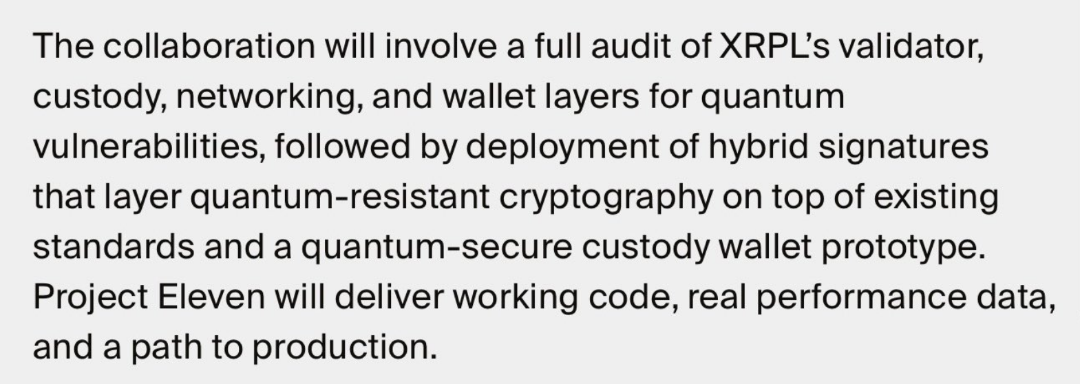 Quantum-ready XRP Ledger visualization