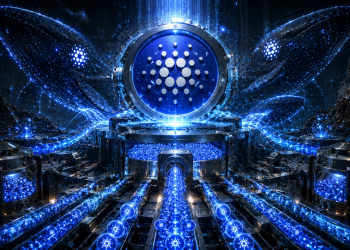 Cardano Whales