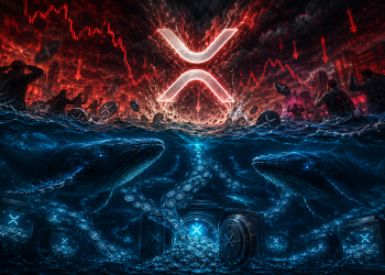 XRP Whales