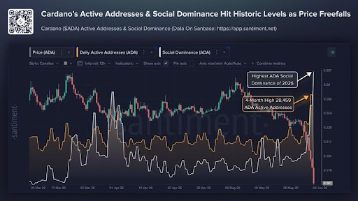 Cardano Crashes To 5-Year Lows As Hoskinson’s Warning Sparks Market Panic