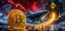 Bitcoin Whales Return To Binance As Selloff Echoes February Panic