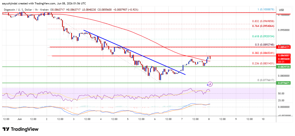 Dogecoin (DOGE) Stages A Recovery Attempt After A Brutal Selloff