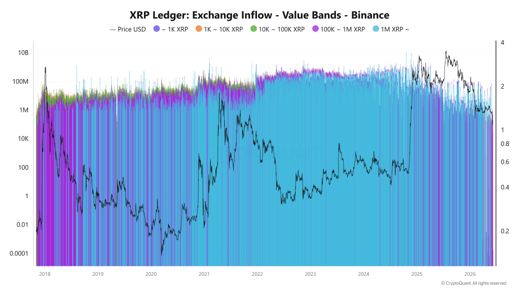 XRP Sell-Off Driven By Liquidations, Not Whale Dumping: On-Chain Data