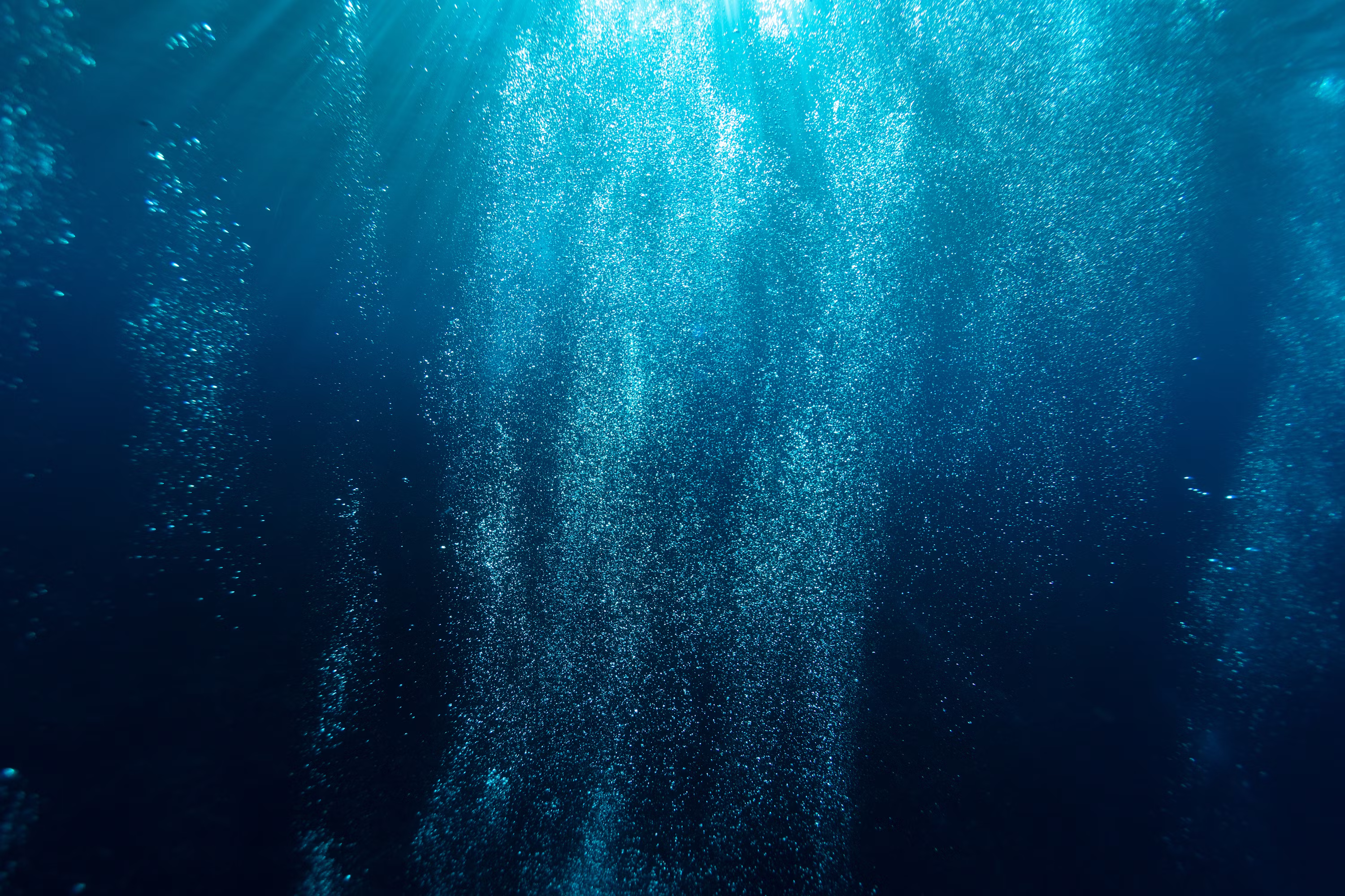 Crypto Treasury Flows Lose Steam, Marking Deepest Drop Since 2024