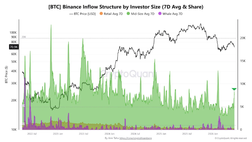 Bleeding Bitcoin Holders Signal Stress — K Becomes Critical Battleground