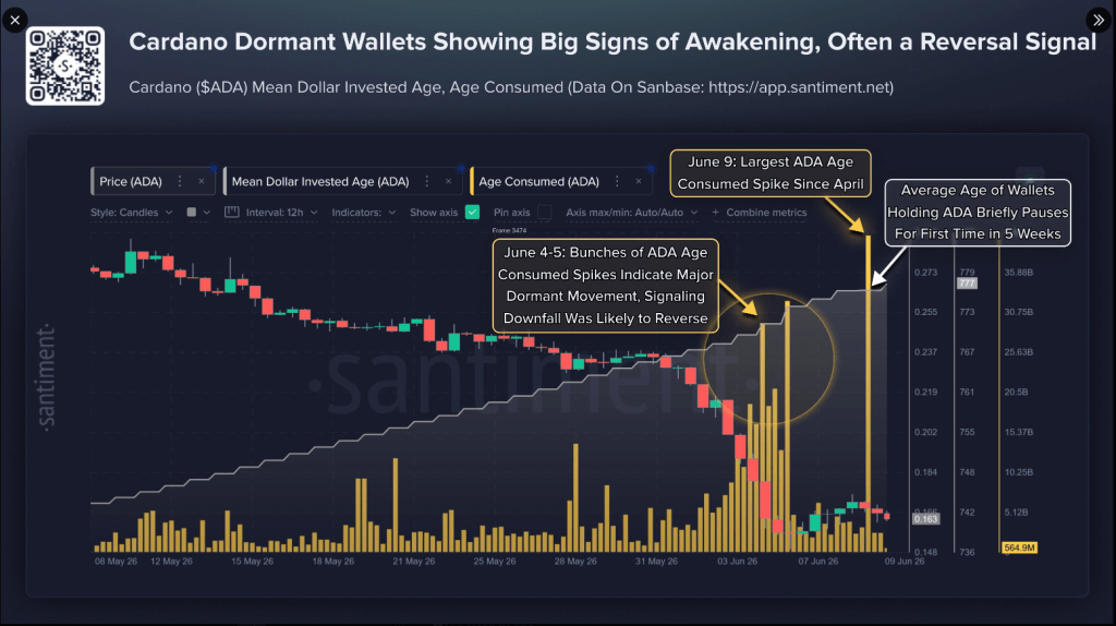 Cardano’s Oldest Holders Are Moving Again — Here’s What The Data Shows