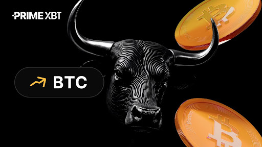 Bitcoin Rallies Following Weekly Momentum Divergence and Strong ETF Inflows