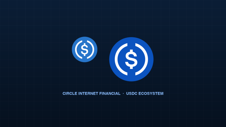 Circle Internet Financial corporate logo and USDC stablecoin branding